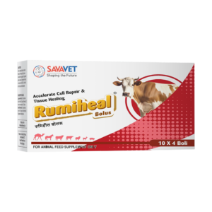 RUMIHEAL BOLUS